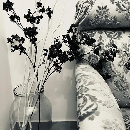 Fleur Blanche Nocleg ze śniadaniem 3*