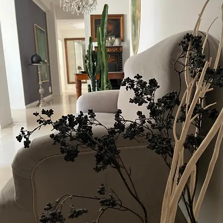 Fleur Blanche Nocleg ze śniadaniem 3*