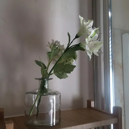 Fleur Blanche 3* ורונה