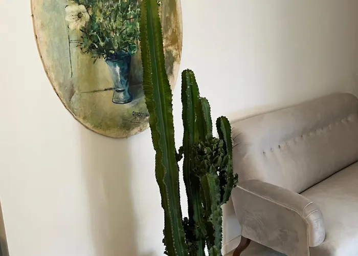 Nocleg ze śniadaniem Fleur Blanche 3*