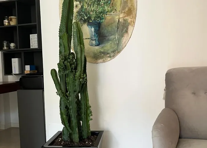 Fleur Blanche 3* Verona