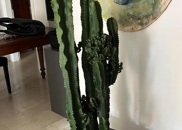 Fleur Blanche Отель типа 