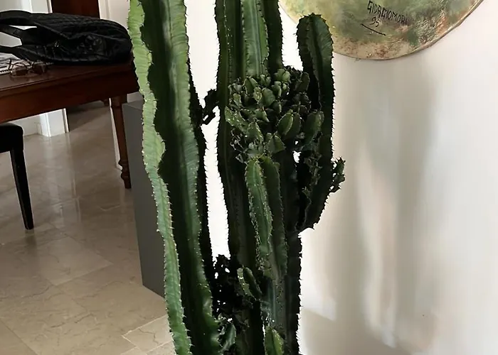 Nocleg ze śniadaniem Fleur Blanche Werona