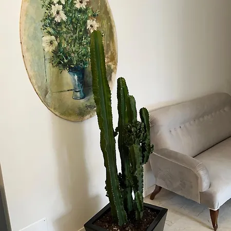 Frühstückspension Fleur Blanche 3*