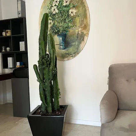 Fleur Blanche 3* Verona