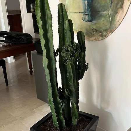 Fleur Blanche Frühstückspension Verona