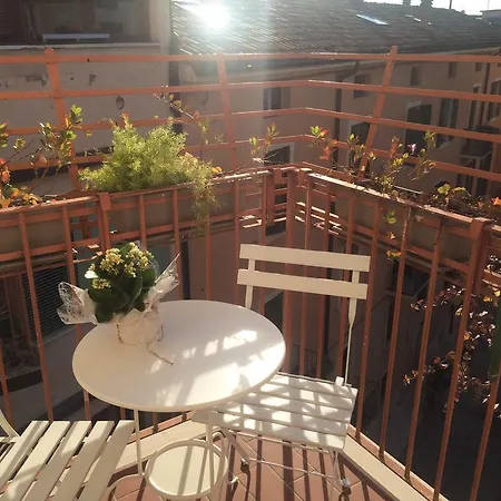 Fleur Blanche Verona