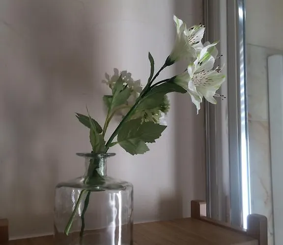 Fleur Blanche 3* 베로나